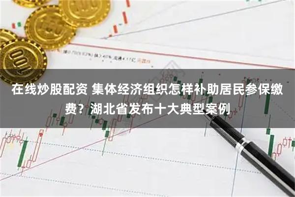 在线炒股配资 集体经济组织怎样补助居民参保缴费？湖北省发布十大典型案例