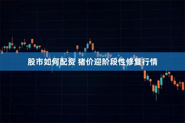 股市如何配资 猪价迎阶段性修复行情